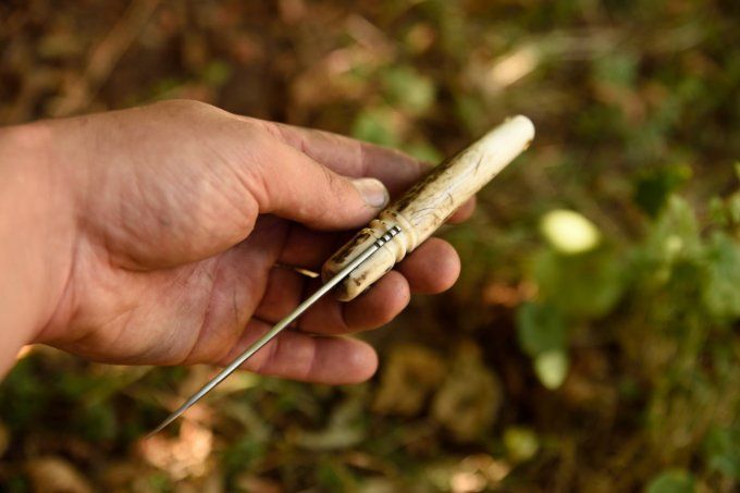 Couteau pliant à friction 20cm, manche monobloc en bois de Cerf