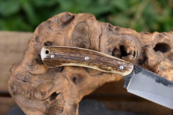 Utilitaire 22 cm, manche en Bois de Cerf