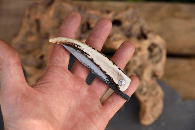 Couteau pliant à friction 19cm, manche monobloc en bois de Cerf