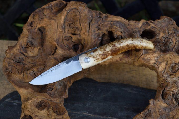 Couteau pliant 17cm, système deux clous, manche monobloc en bois de Cerf