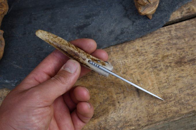 Couteau pliant 17cm, système deux clous, manche monobloc en bois de Cerf