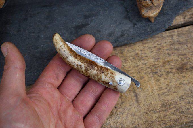 Couteau pliant 17cm, système deux clous, manche monobloc en bois de Cerf