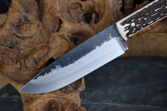 Utilitaire 21 cm, manche en Bois de Cerf