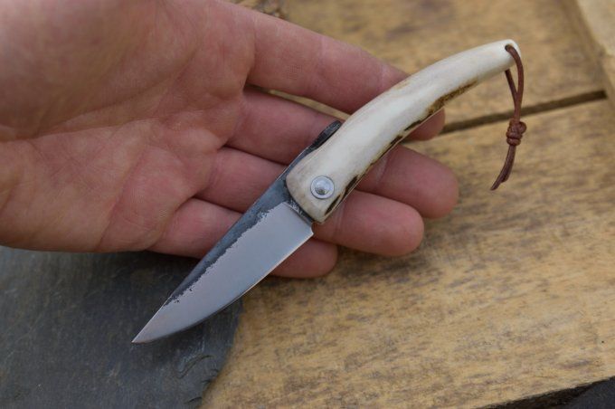 Couteau pliant piémontais 16cm, manche monobloc en bois de Cerf